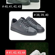 Nuevos - Img 57484429