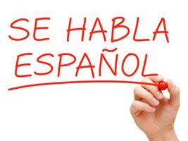 SPANISH LESSONS/ CLASES PROFESIONALES DE ESPAÑOL - Img main-image