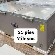 Freezer / Nevera de 25 pies milexus - Img 45736480