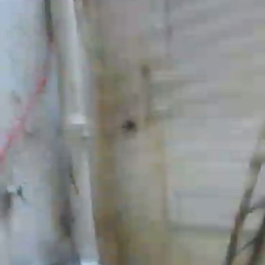 Venta o permuta en centro Habana - Img 122266625