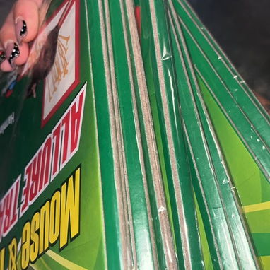 🐭VENDO TRAMPAS DE RATONES 🐭 - 2/2