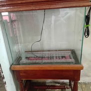 Pecera con mesa de madera en venta - Img 54977318