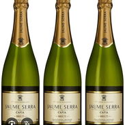 Vino Espumoso Jaume Serra Cava (En oferta por caja, también se vende sueltas) - Img 55406824