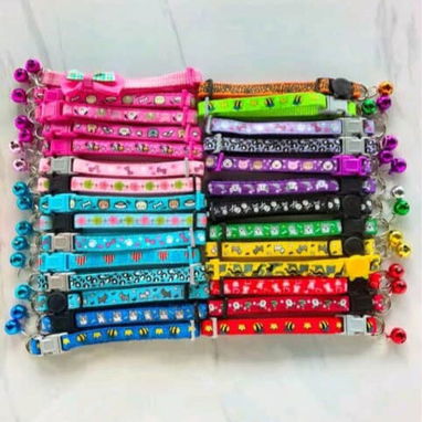 Collares para gatos y perros - Img 123230361