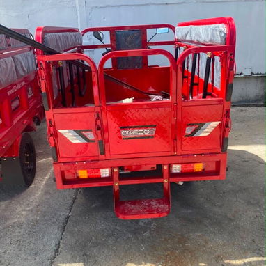 TRICICLO ELECTRICO NEW ONE BOT 2026 - 2/3