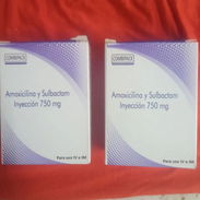 Amoxicilina sulbastam - Img 55818034