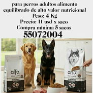 Pienso para Perro Adulto.. 4kg - Img 53284371