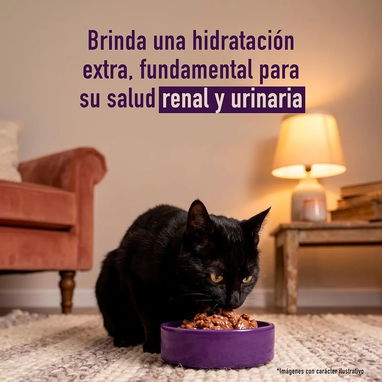 Comida húmeda para gatos - 5/7