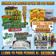 Productos para eliminar las moscas, pegatinas , cebos , spray - Img 55335662
