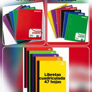 **Libretas Cuadriculadas** - Img 56478775