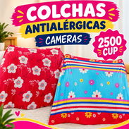 Colchas antialergicas cameras - Img 57967501