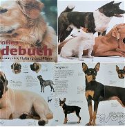 Libro con ilustraciones a color de diferentes razas de perros - Img 45761286