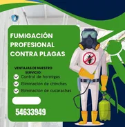 🦟 Adiós plagas: fumigación eficaz y segura - Img 49687827