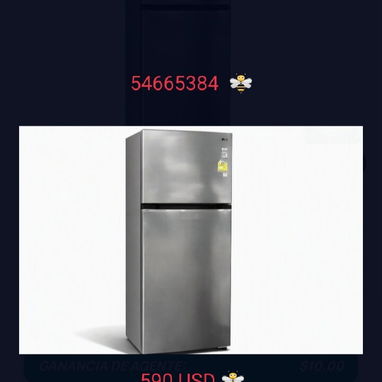 Refrigerador LG de 10 pues. - 3/3