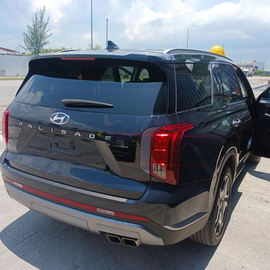 Vendo o negocio yhunday palisade callygrafy del 2023 Con 20 mil millas - 4/6