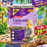 Comida para Cacatua - Img 57666365