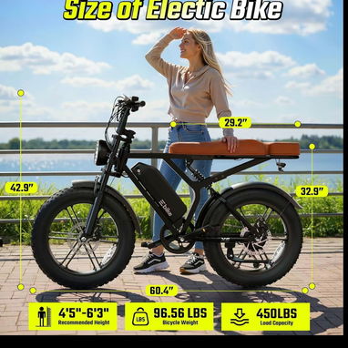 Tenemos bici electricas - 3/5