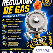Regulador para planta de gas - Img 57806643