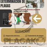 Servicio de Fumigación contra Plagas de insectos. - Img 54947305