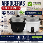 Arrocera milexus - Img 57756877