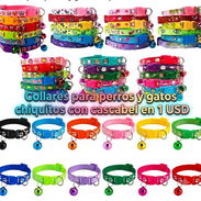 Collares para gatos y perros chiquitos con cascabel. Cómodos, ligeros y con diseños encantadores. - Img 55892873