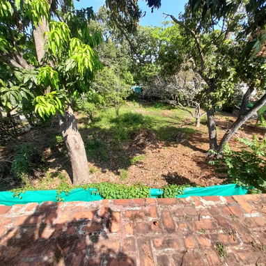 馃彙Casa independiente de 4 cuartos y medio, de construcci贸n capitalista, 3 parcelas con diferentes 谩rboles frutales - Img 119298432