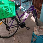 BICICLETA - Img 57678395
