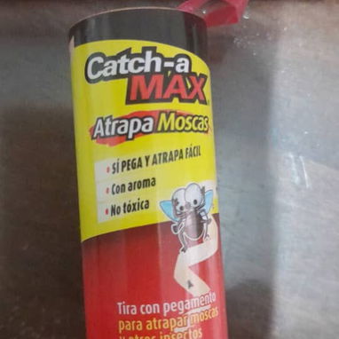 Atrapa moscas en Centro Habana - Img 123271311