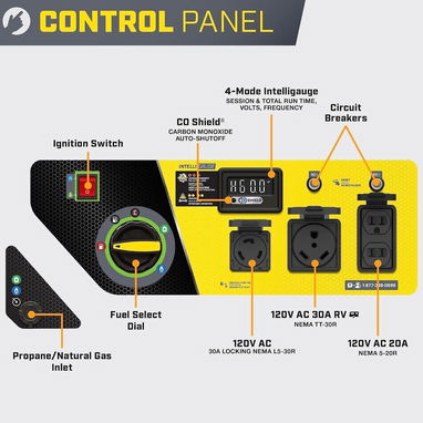 Planta o generador eléctrico "Champion" (no hay que adaptar a gas, todo original) - 4/4