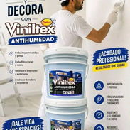 Vinil ANTI MANCHAS , HONGOS y FILTRACIONES para interiores y exteriores todos los colores 🌈 - Img 56201338