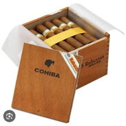 Caja de tabaco Cohiba Robusto - Img 45633803