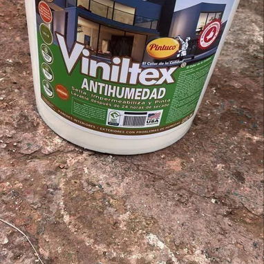Todo en pintura - 4/6