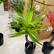 🔥🌟Decora tu hogar con estos articulos de lujo ,excelente calidad 53460148🔥🔥🔥🌟🌟 - Img 55968548