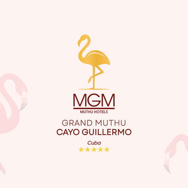 Diseño de logotipos / Diseño de marca / visual / Diseño gráfico / Diseñador gráfico - 2/6
