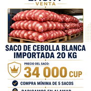 SACO DE CEBOLLA BLANCA IMPORTADA – 20 KG - Img 58131937