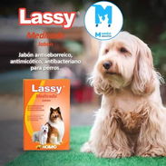 Jabón antiseborreico para perros y gatos - Img 58324345