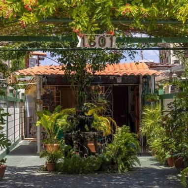 CONFORT RENTALS-CASA EN VARADERO - Img 117247170