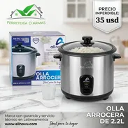 Arroceras - Img 56147070