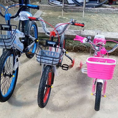 Bicicleta 16 - 2/2