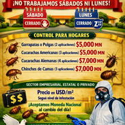 Servicios de Higiene Ambiental - Img 56744541