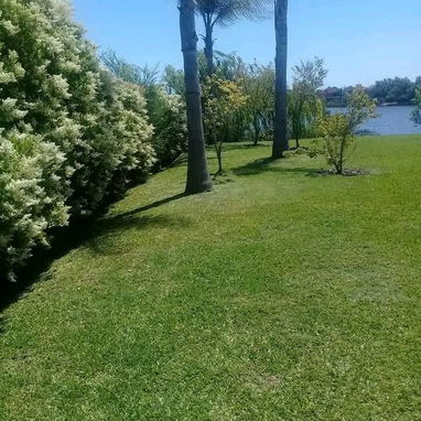 Servicios de Jardinería Profesional - 4/8