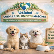 🐾 CUIDA LA SALUD DE TU MASCOTA 🐾 - Img 55123855