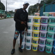 Ventas de pinturas importadas vinil , impermeable , esmalte , aceite (oxido) - Img 55690171