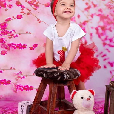 Estudio Fotografico - Img 124436605