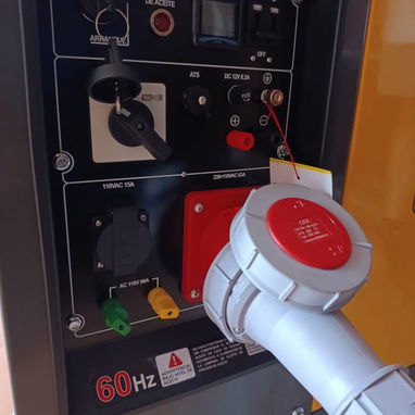 Generador Eléctrico Monofásico - 2/7