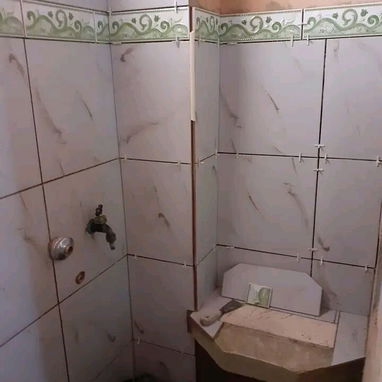 Albañil profesional y pintor. - 10/10