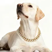 Collar de diamante para Mascotas - Img 55870362
