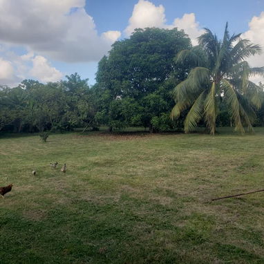 SE VENDE CASA – VALLE GRANDE, MUNICIPIO LA LISA 📍 UBICACIÓN Valle Grande, Municipio La Lisa Papeles en regla ✔️ - Img 124488648
