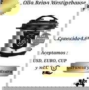 Olla reina de 6 litros - Img 50093033