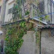 SE VENDE BIPLANTA - Img 50817267